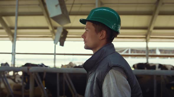 Livestock Supervisor Walking Shed Controlling Work of Milking Farm Close Up