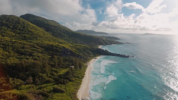 Tropical Beach with Sea and Palm Taken From Drone