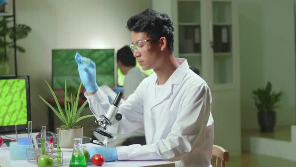 Scientist Man Looking At Test Sample Of Leaf Analyzing For Biological Experiment With Organic Plants