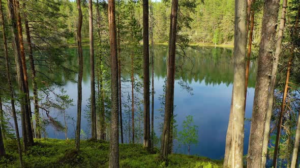 Lake and Forest in Finland