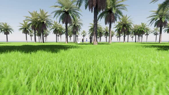 Arab Parents Saudi on Green Lawn Landscape