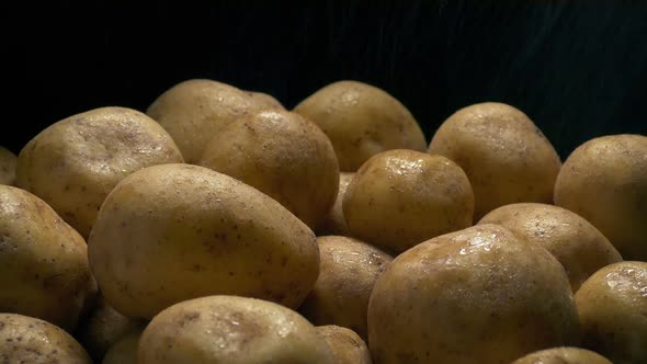 Potatoes In Fine Water Spray