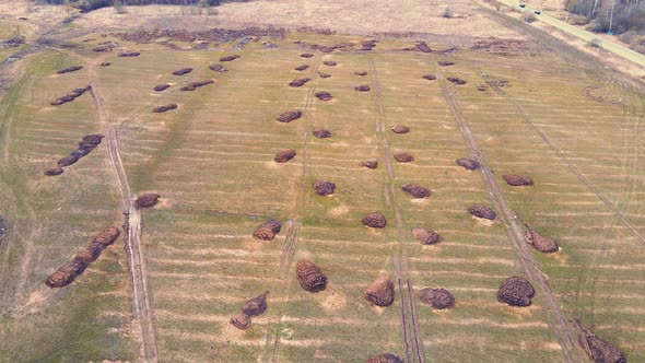 Rows of Heaps of Manure on an Agricultural Field Aerial View