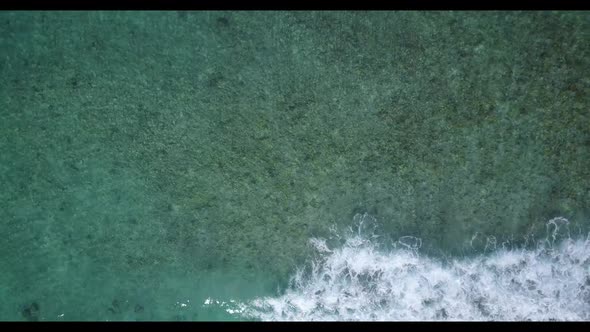 Aerial top view travel of tropical sea view beach wildlife by blue sea and white sand background of 