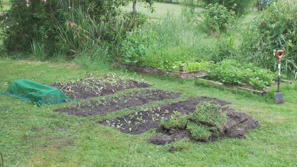 Wide shot showing lush vegetable garden