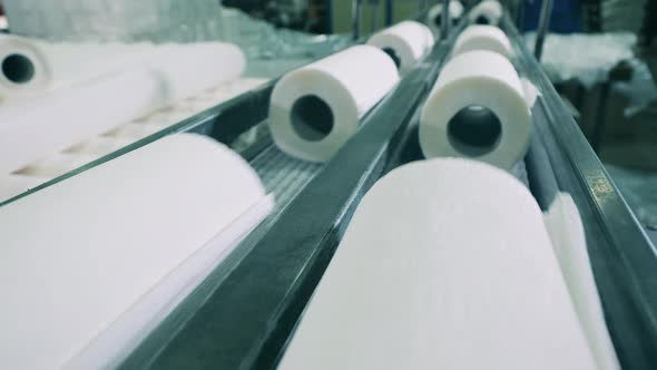 Paper Rolls Moving Along the Conveyor Belt at a Paper Factory