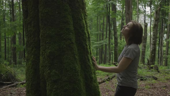 30s Woman Coming to the Tree with Moss and Looking at Forest