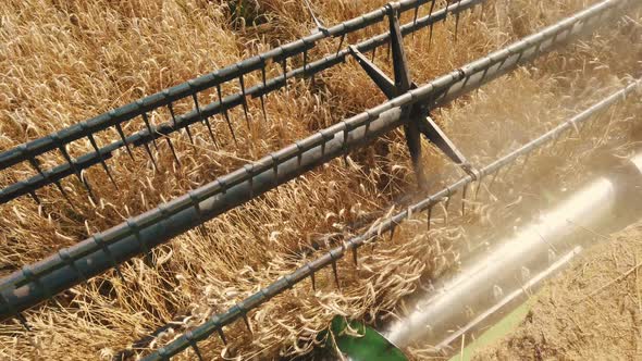 Close Up of Modern Combine Harvest Thrasher at Work. Overhead