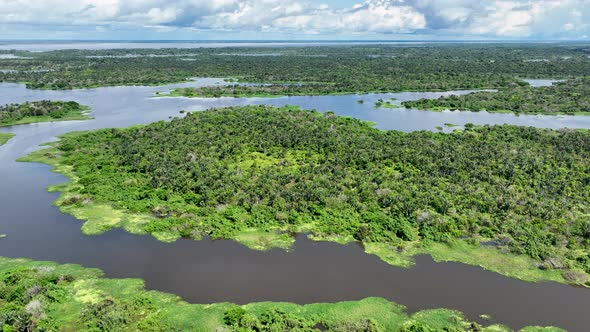 Stunning landscape of Amazon Forest at Amazonas State Brazil.