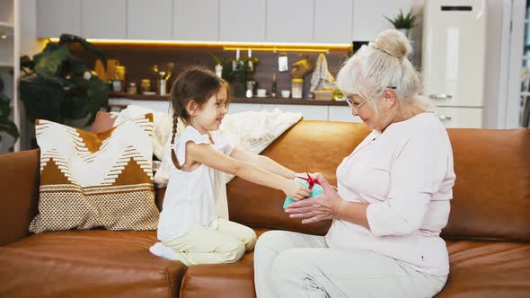 Little Granddaughter is Giving a Gift Box to Her Grandmother Congratulating Her Sitting on Couch in