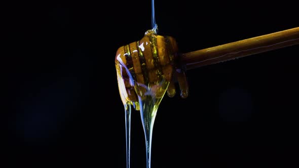 Honey dripping from spoon in front of black background