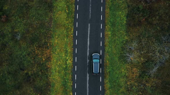 Drone Top View Camera Tracking Black Car Driving on Empty Highway Along Cloudy Autumn Forest on