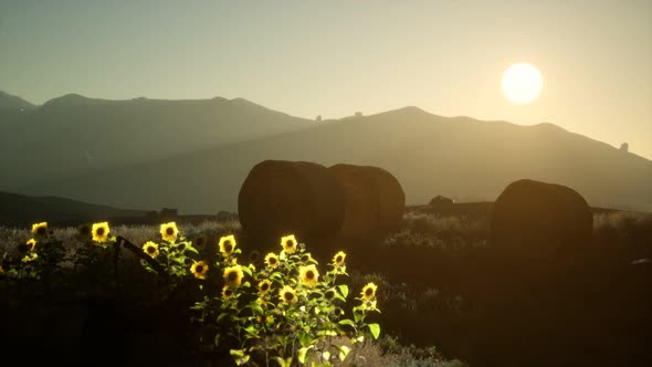 Hay Bales in the Sunset