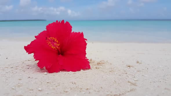 Aerial sky of relaxing lagoon beach time by blue ocean with white sand background of adventure near 