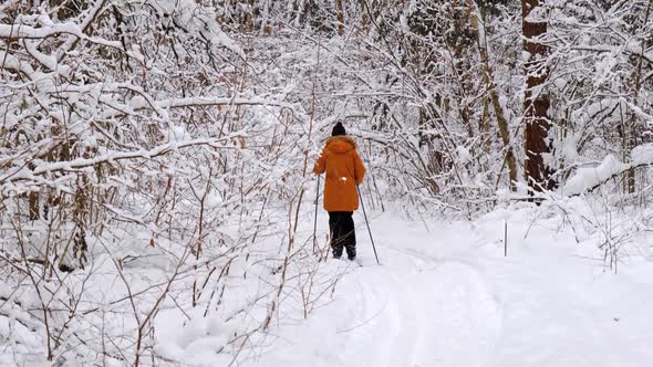 Skier in hat with pompom with ski poles in his hands with in snowy forest with snow