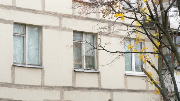 Autumn view of apartment block and tree with dry leaves