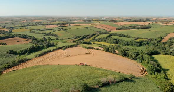 Drone Shot with Wide Top View of Mowing Machine, Harvesting on Yellow Wheat Field between Green Agri