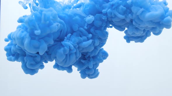 Blue Color Paint Ink Drops in Water Slow Motion Video with Copy Space. Inky Cloud Swirling Flowing