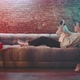 Young woman holding hand up while laying on a couch and experiencing virtual reality - VideoHive Item for Sale