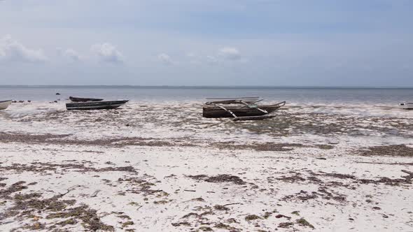 Zanzibar Tanzania  Low Tide in the Ocean Near the Shore