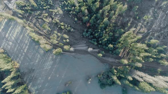 Witow Nature and ecosystem destruction due to deforestation, Poland. Aerial