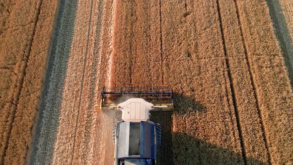 Harvester Combine Working in the Field