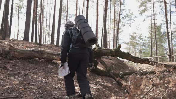 Orienteering in the forest. Tourist on a hike in a forest park with a map.