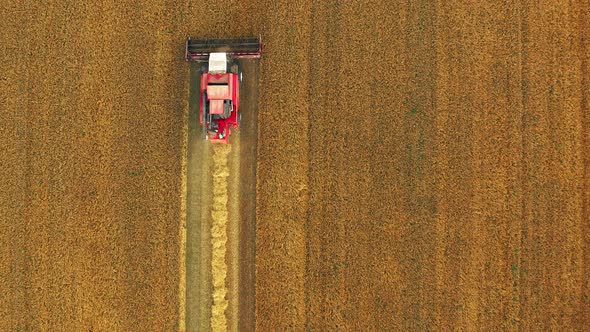 Flat Elevated View Of Rural Landscape With Working Combine Harvester In Wheat Field Collects Seeds