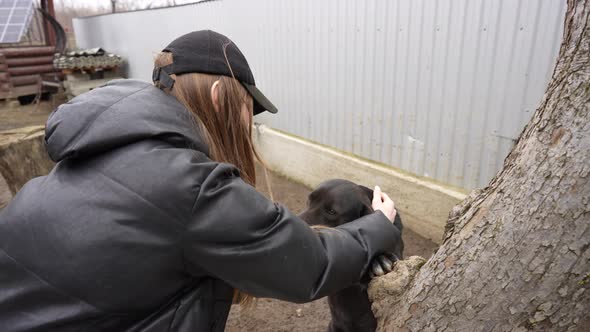 Young girl playing with a ordinary yard dog on a spring day