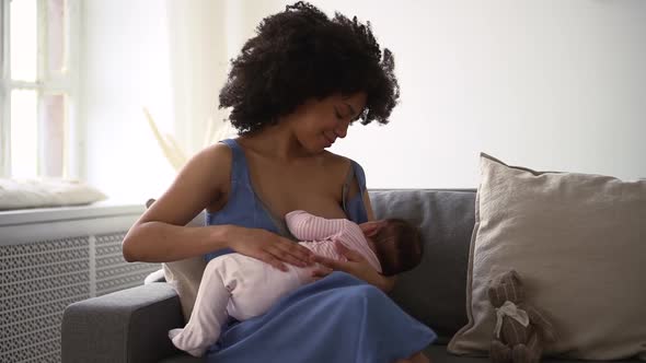 Young Black Mother Breastfeeding Newborn in Living Room Spbd