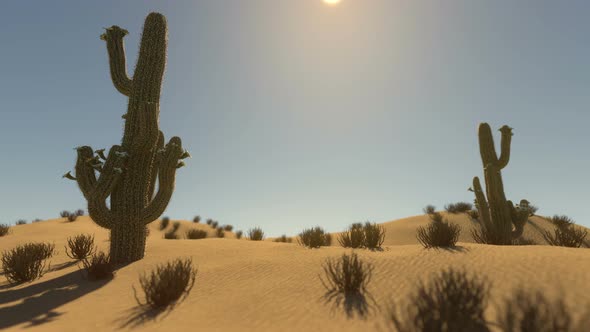 Timelapse Of Sunrise Over Desert 2