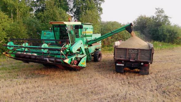 Russia Sverdlovsk September 23 2021 Growing Grain in Russia