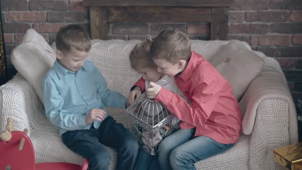 Blond Brothers Spend Time Playing with Little Sister