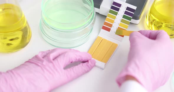 Hand Holding Test Tube with pH Indicator Comparing Color to Scale Closeup