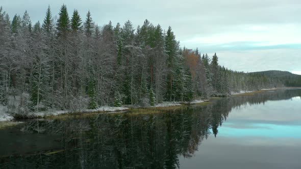 AERIAL shot tracking a frozen lakeside forest in Sweden