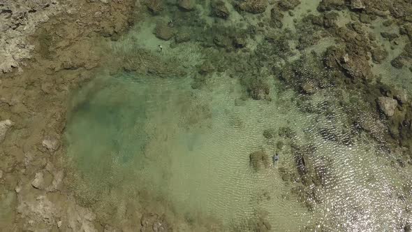 Overhead view of swimmers enjoying the clear water at Sharks cove 2