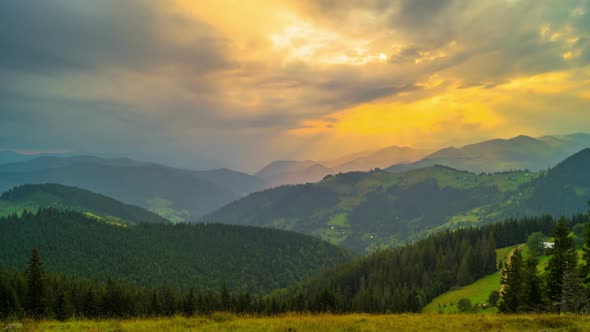 The Mountain Forest on Background of Sunset