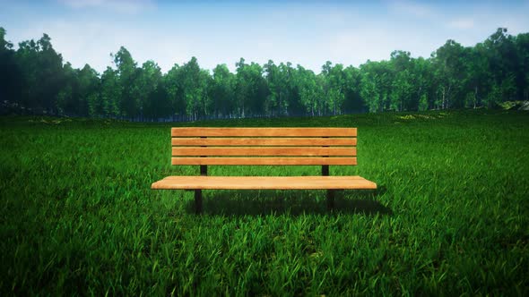 Wooden Bench on the Windy Green Grass Park at Sunny Day 4K 02