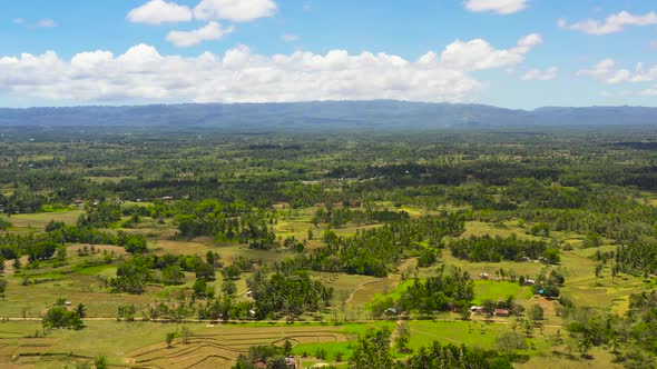 Agricultural Land in the Philippines