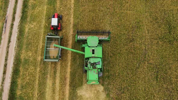 Aerial view on the combine and tractor working on the large wheat field