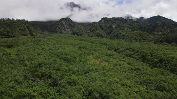 Aerial view of flying in a tropical forest, mountain, and valley in Indonesia.