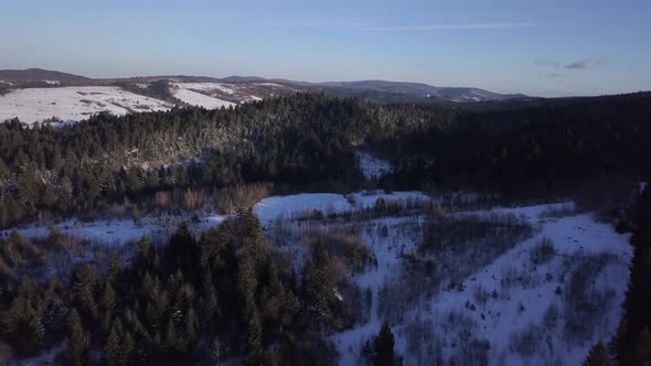 Aerial View of a Snowy Forest with High Pines in the Mountains at Landscape
