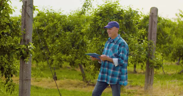 Male Researcher Looking at Trees While Writing on Clipboard