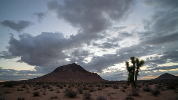 Cinematic golden sunrise in Mojave Desert with Joshua Tree and butte mountains