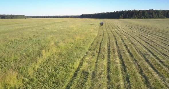 Haymaker Mower Moves Along Farmland and Gathers Grass