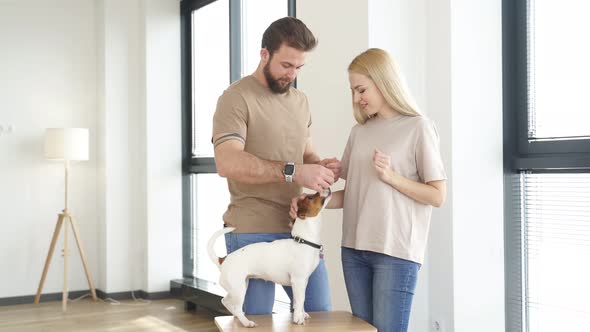 Happy Couple Family Playing with Pet Dog Have Fun Enjoy Weekends