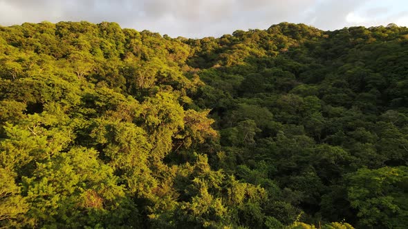 4k aerial view of flight up a hillside rainforest in central America during warm and colourful sunse