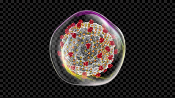 Covid 19 Infected Cell V9 alt