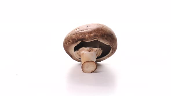 Champignon Mushroom Spinning on White Background