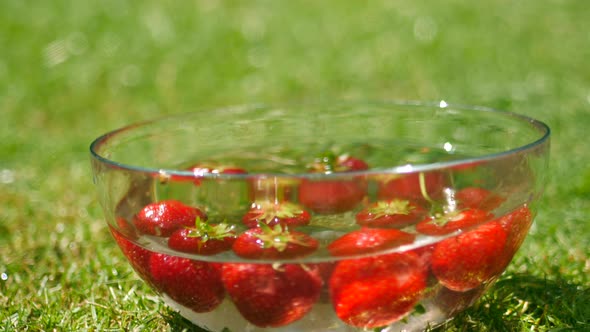 Strawberries spinning in slow motion